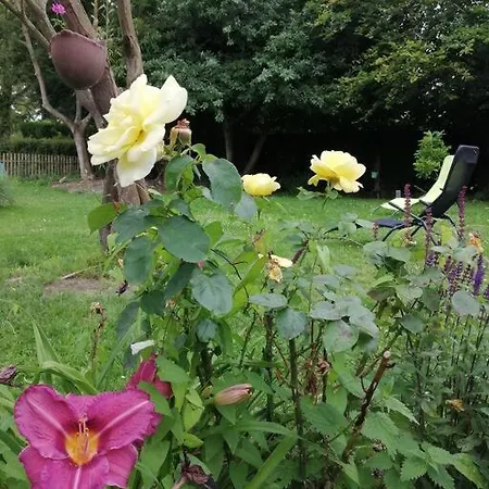 Ferienhaus La Romance De Laura Arrest