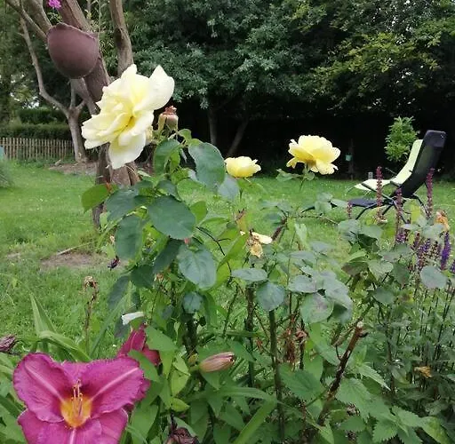 Hébergement de vacances La Romance De Laura Arrest